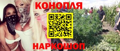 винт Гусев